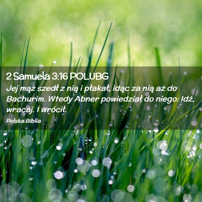 Picture 02 - 2 Samuela 3:16 POLUBG - Jej mąż szedł z nią i płakał, idąc za nią - Bible Verse Picture