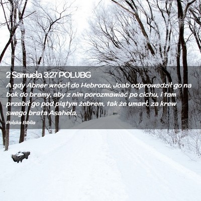 Picture 02 - 2 Samuela 3:27 POLUBG - A gdy Abner wrócił do Hebronu, Joab - Bible Verse Picture