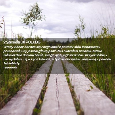Picture 02 - 2 Samuela 3:8 POLUBG - Wtedy Abner bardzo się rozgniewał z powodu - Bible Verse Picture