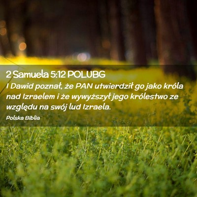 Picture 02 - 2 Samuela 5:12 POLUBG - I Dawid poznał, że PAN utwierdził go jako - Bible Verse Picture