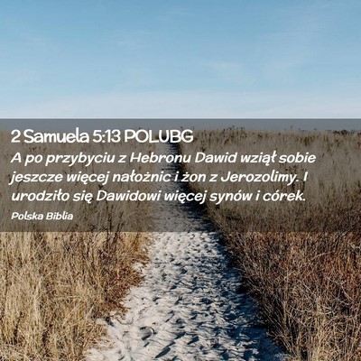 Picture 02 - 2 Samuela 5:13 POLUBG - A po przybyciu z Hebronu Dawid wziął sobie - Bible Verse Picture