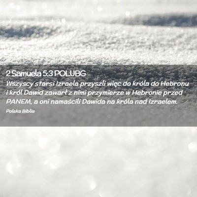 Picture 02 - 2 Samuela 5:3 POLUBG - Wszyscy starsi Izraela przyszli więc do króla - Bible Verse Picture