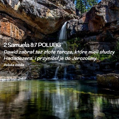 Picture 02 - 2 Samuela 8:7 POLUBG - Dawid zabrał też złote tarcze, które mieli - Bible Verse Picture