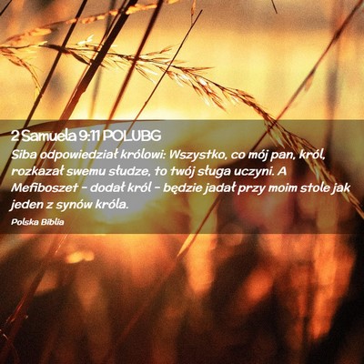 Picture 02 - 2 Samuela 9:11 POLUBG - Siba odpowiedział królowi: Wszystko, co mój - Bible Verse Picture