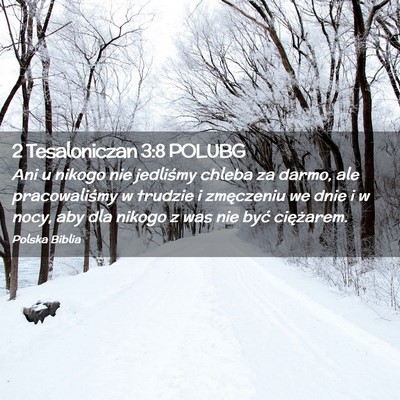 Picture 02 - 2 Tesaloniczan 3:8 POLUBG - Ani u nikogo nie jedliśmy chleba za darmo, ale - Bible Verse Picture