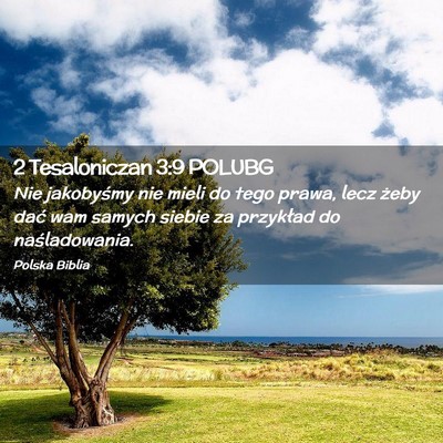 Picture 02 - 2 Tesaloniczan 3:9 POLUBG - Nie jakobyśmy nie mieli do tego prawa, lecz - Bible Verse Picture