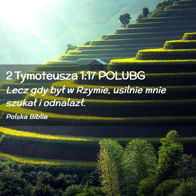 Picture 02 - 2 Tymoteusza 1:17 POLUBG - Lecz gdy był w Rzymie, usilnie mnie szukał i - Bible Verse Picture