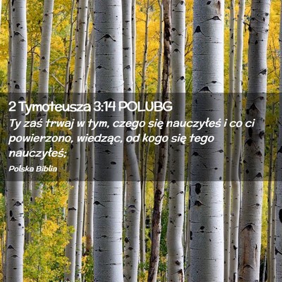 Picture 02 - 2 Tymoteusza 3:14 POLUBG - Ty zaś trwaj w tym, czego się nauczyłeś i co - Bible Verse Picture