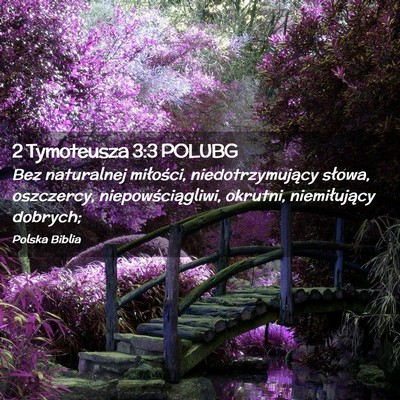 Picture 02 - 2 Tymoteusza 3:3 POLUBG - Bez naturalnej miłości, niedotrzymujący - Bible Verse Picture