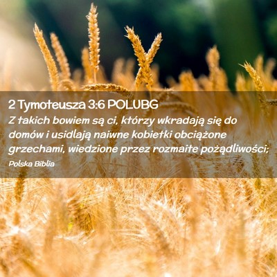 Picture 02 - 2 Tymoteusza 3:6 POLUBG - Z takich bowiem są ci, którzy wkradają się do - Bible Verse Picture