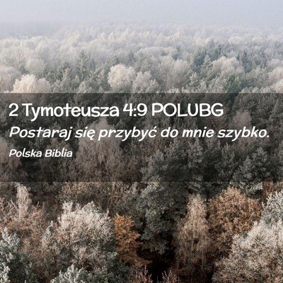 Picture 02 - 2 Tymoteusza 4:9 POLUBG - Postaraj się przybyć do mnie - Bible Verse Picture
