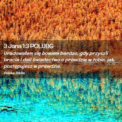 Picture 02 - 3 Jana 1:3 POLUBG - Uradowałem się bowiem bardzo, gdy przyszli - Bible Verse Picture