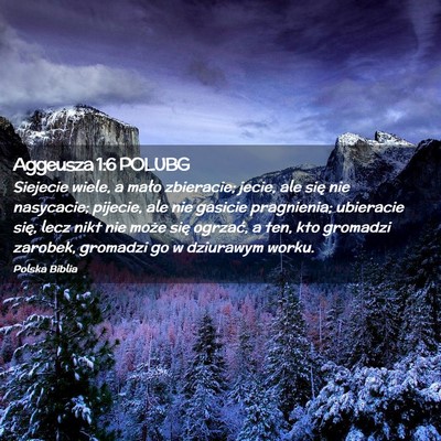 Picture 02 - Aggeusza 1:6 POLUBG - Siejecie wiele, a mało zbieracie; jecie, ale - Bible Verse Picture