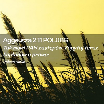 Picture 02 - Aggeusza 2:11 POLUBG - Tak mówi PAN zastępów: Zapytaj teraz - Bible Verse Picture