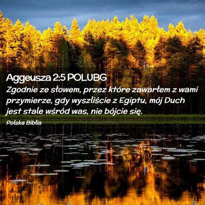 Picture 02 - Aggeusza 2:5 POLUBG - Zgodnie ze słowem, przez które zawarłem z wami - Bible Verse Picture