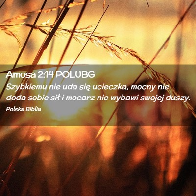 Picture 02 - Amosa 2:14 POLUBG - Szybkiemu nie uda się ucieczka, mocny nie doda - Bible Verse Picture