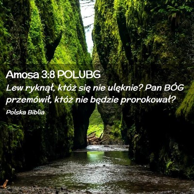 Picture 02 - Amosa 3:8 POLUBG - Lew ryknął, któż się nie ulęknie? Pan BÓG - Bible Verse Picture