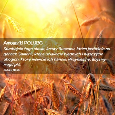 Picture 02 - Amosa 4:1 POLUBG - Słuchajcie tego słowa, krowy Baszanu, które - Bible Verse Picture