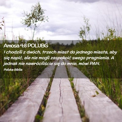 Picture 02 - Amosa 4:8 POLUBG - I chodzili z dwóch, trzech miast do jednego - Bible Verse Picture