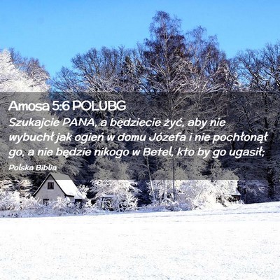 Picture 02 - Amosa 5:6 POLUBG - Szukajcie PANA, a będziecie żyć, aby nie - Bible Verse Picture