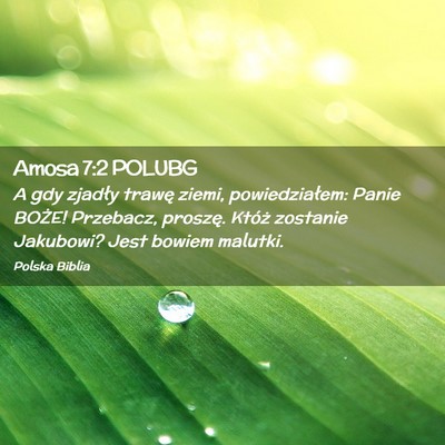 Picture 02 - Amosa 7:2 POLUBG - A gdy zjadły trawę ziemi, powiedziałem: Panie - Bible Verse Picture