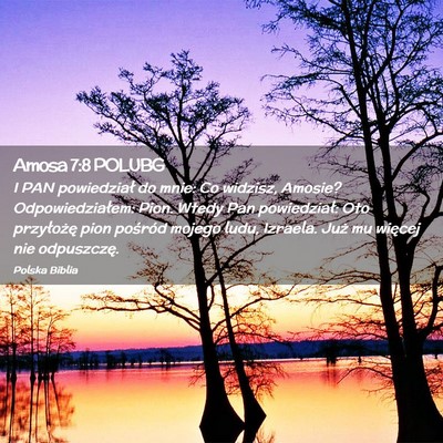 Picture 02 - Amosa 7:8 POLUBG - I PAN powiedział do mnie: Co widzisz, Amosie? - Bible Verse Picture