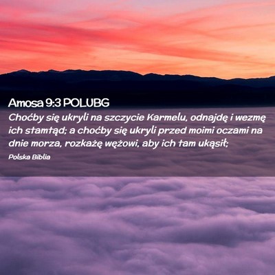 Picture 02 - Amosa 9:3 POLUBG - Choćby się ukryli na szczycie Karmelu, odnajdę - Bible Verse Picture
