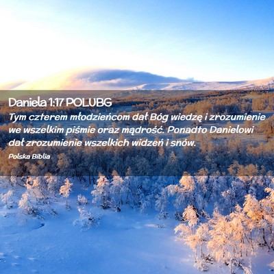 Picture 02 - Daniela 1:17 POLUBG - Tym czterem młodzieńcom dał Bóg wiedzę i - Bible Verse Picture
