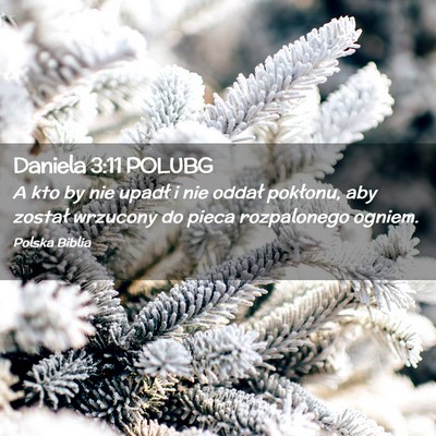 Picture 02 - Daniela 3:11 POLUBG - A kto by nie upadł i nie oddał pokłonu, aby - Bible Verse Picture