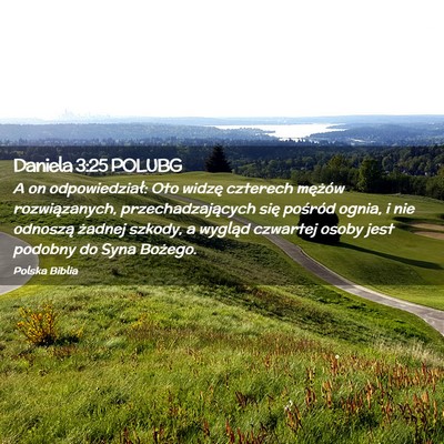 Picture 02 - Daniela 3:25 POLUBG - A on odpowiedział: Oto widzę czterech mężów - Bible Verse Picture