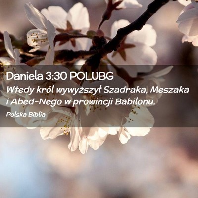 Picture 02 - Daniela 3:30 POLUBG - Wtedy król wywyższył Szadraka, Meszaka i - Bible Verse Picture