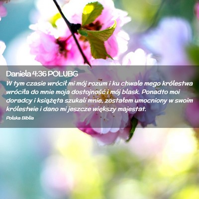 Picture 02 - Daniela 4:36 POLUBG - W tym czasie wrócił mi mój rozum i ku chwale - Bible Verse Picture