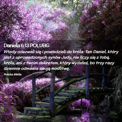 Picture 02 - Daniela 6:13 POLUBG - Wtedy odezwali się i powiedzieli do króla: Ten - Bible Verse Picture