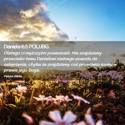 Picture 02 - Daniela 6:5 POLUBG - Dlatego ci mężczyźni powiedzieli: Nie - Bible Verse Picture