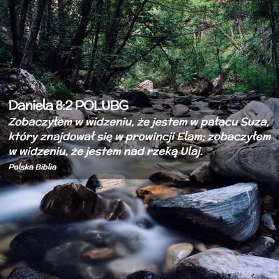 Picture 02 - Daniela 8:2 POLUBG - Zobaczyłem w widzeniu, że jestem w pałacu - Bible Verse Picture