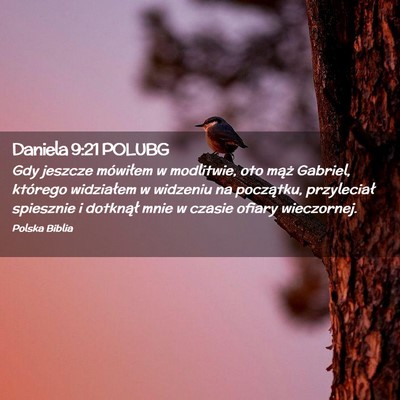 Picture 02 - Daniela 9:21 POLUBG - Gdy jeszcze mówiłem w modlitwie, oto mąż - Bible Verse Picture