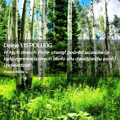 Picture 02 - Dzieje 1:15 POLUBG - W tych dniach Piotr stanął pośród uczniów (a - Bible Verse Picture