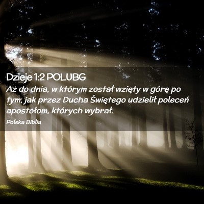 Picture 02 - Dzieje 1:2 POLUBG - Aż do dnia, w którym został wzięty w górę - Bible Verse Picture