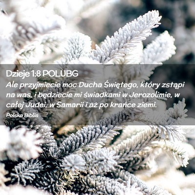 Picture 02 - Dzieje 1:8 POLUBG - Ale przyjmiecie moc Ducha Świętego, który - Bible Verse Picture