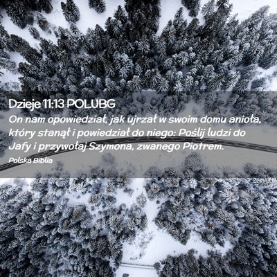 Picture 02 - Dzieje 11:13 POLUBG - On nam opowiedział, jak ujrzał w swoim domu - Bible Verse Picture