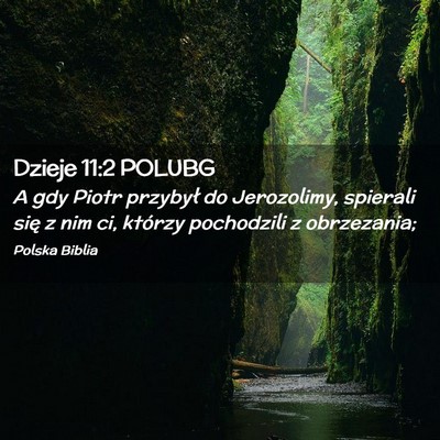 Picture 02 - Dzieje 11:2 POLUBG - A gdy Piotr przybył do Jerozolimy, spierali się - Bible Verse Picture