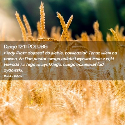 Picture 02 - Dzieje 12:11 POLUBG - Kiedy Piotr doszedł do siebie, powiedział: - Bible Verse Picture
