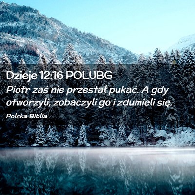Picture 02 - Dzieje 12:16 POLUBG - Piotr zaś nie przestał pukać. A gdy otworzyli, - Bible Verse Picture