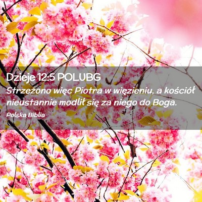 Picture 02 - Dzieje 12:5 POLUBG - Strzeżono więc Piotra w więzieniu, a - Bible Verse Picture