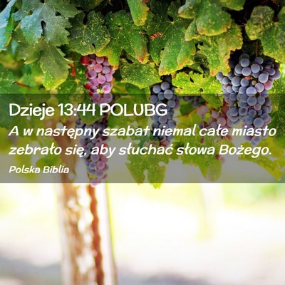 Picture 02 - Dzieje 13:44 POLUBG - A w następny szabat niemal całe miasto zebrało - Bible Verse Picture