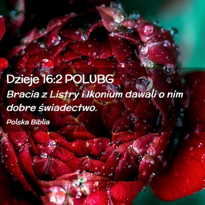 Picture 02 - Dzieje 16:2 POLUBG - Bracia z Listry i Ikonium dawali o nim dobre - Bible Verse Picture
