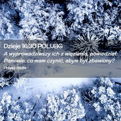 Picture 02 - Dzieje 16:30 POLUBG - A wyprowadziwszy ich z więzienia, powiedział: - Bible Verse Picture