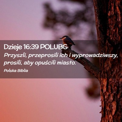 Picture 02 - Dzieje 16:39 POLUBG - Przyszli, przeprosili ich i wyprowadziwszy, - Bible Verse Picture