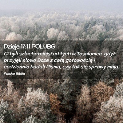 Picture 02 - Dzieje 17:11 POLUBG - Ci byli szlachetniejsi od tych w Tesalonice, - Bible Verse Picture