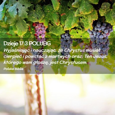 Picture 02 - Dzieje 17:3 POLUBG - Wyjaśniając i nauczając, że Chrystus musiał - Bible Verse Picture